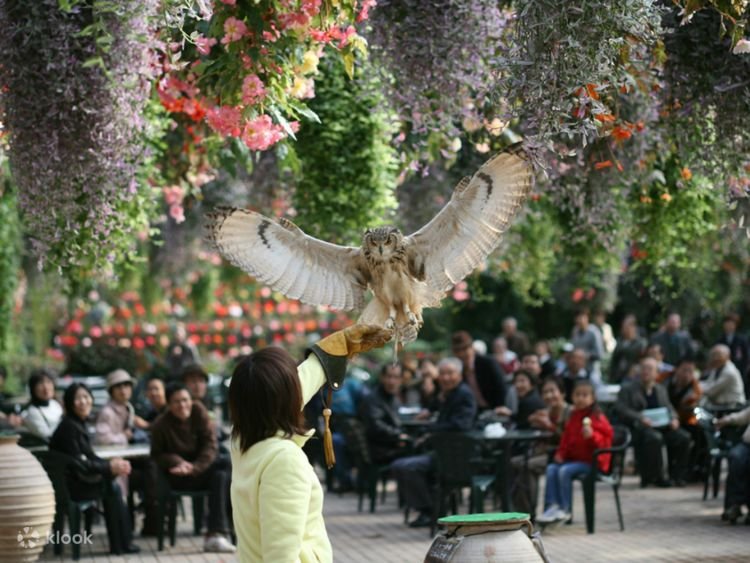 🌸 후지 화조원(후지카초엔) 이미지 8